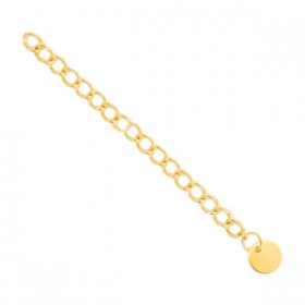Verlengketting coin 304 Stainless steel gold plated
