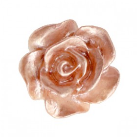 Roosjes kralen 10mm Wit-ginger rose pearl shine
